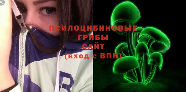 гидра Кулебаки